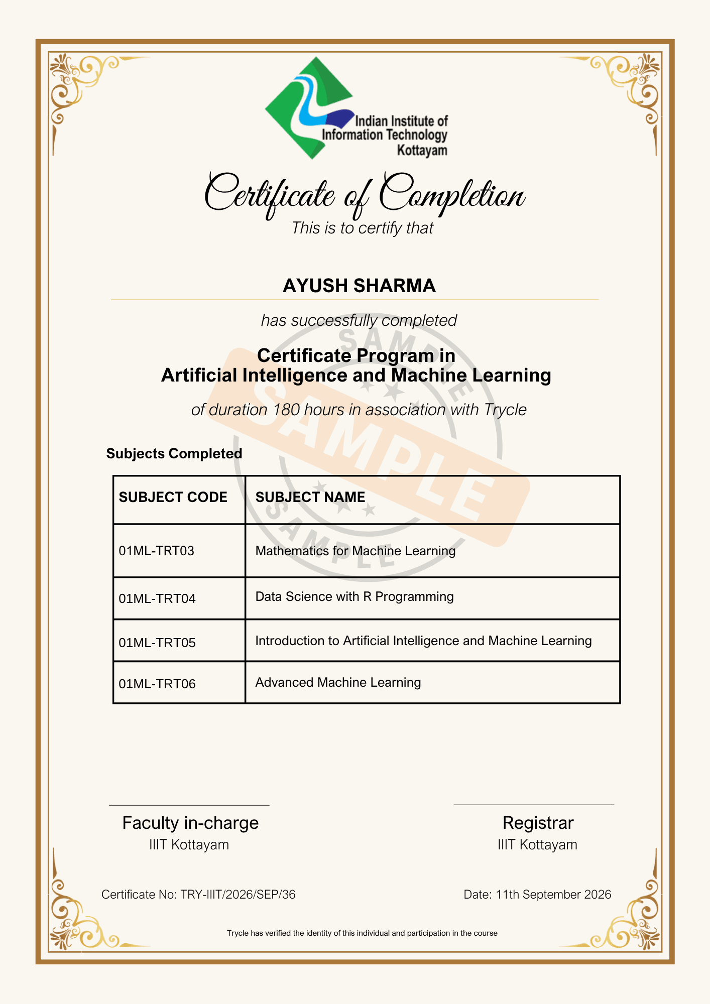 Sample program completion certificate